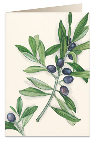 Kort 'Oliven'