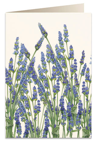 Kort 'Lavanda' 'Lavendler'