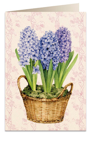 Kort 'Giacinti'