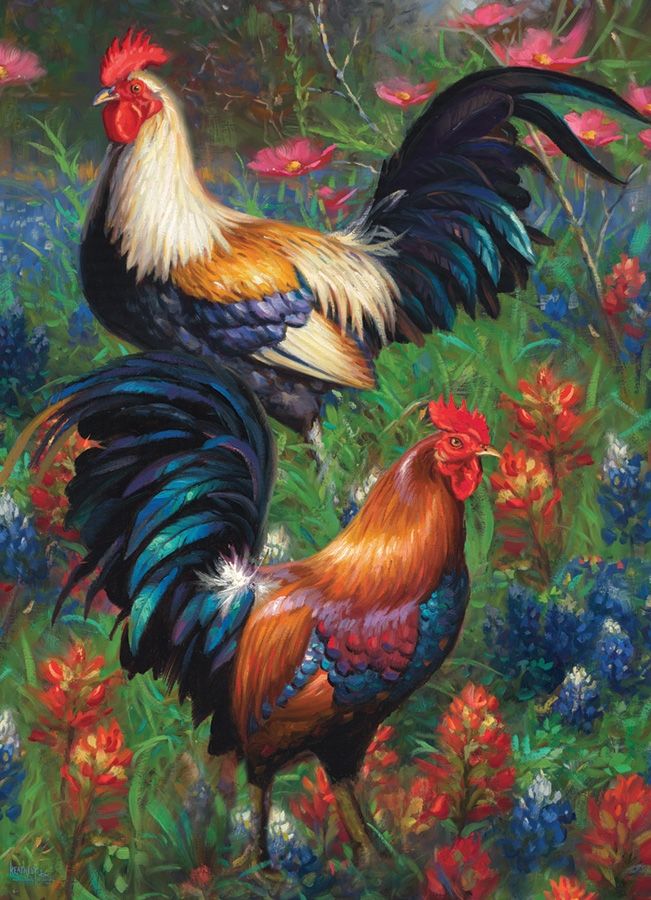 Puslespil Haner - "Roosters" 1000 brikker