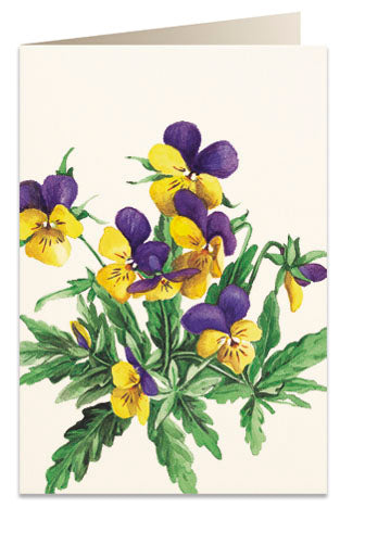 Kort 'Viola tricolor'