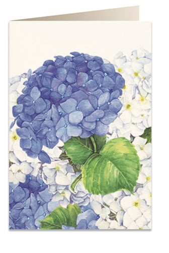 Kort 'Ortensie blu ~ Blå hortensiaer'