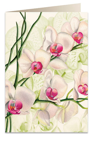Kort 'Orkidéer' 7x10,5 cm